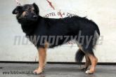 07.01.2014 ZGIERZ GMINA SUKA 55685